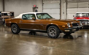 Unknown-Camaro-1974-Brown-Tan-20
