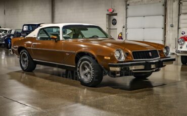 Unknown-Camaro-1974-Brown-Tan-21