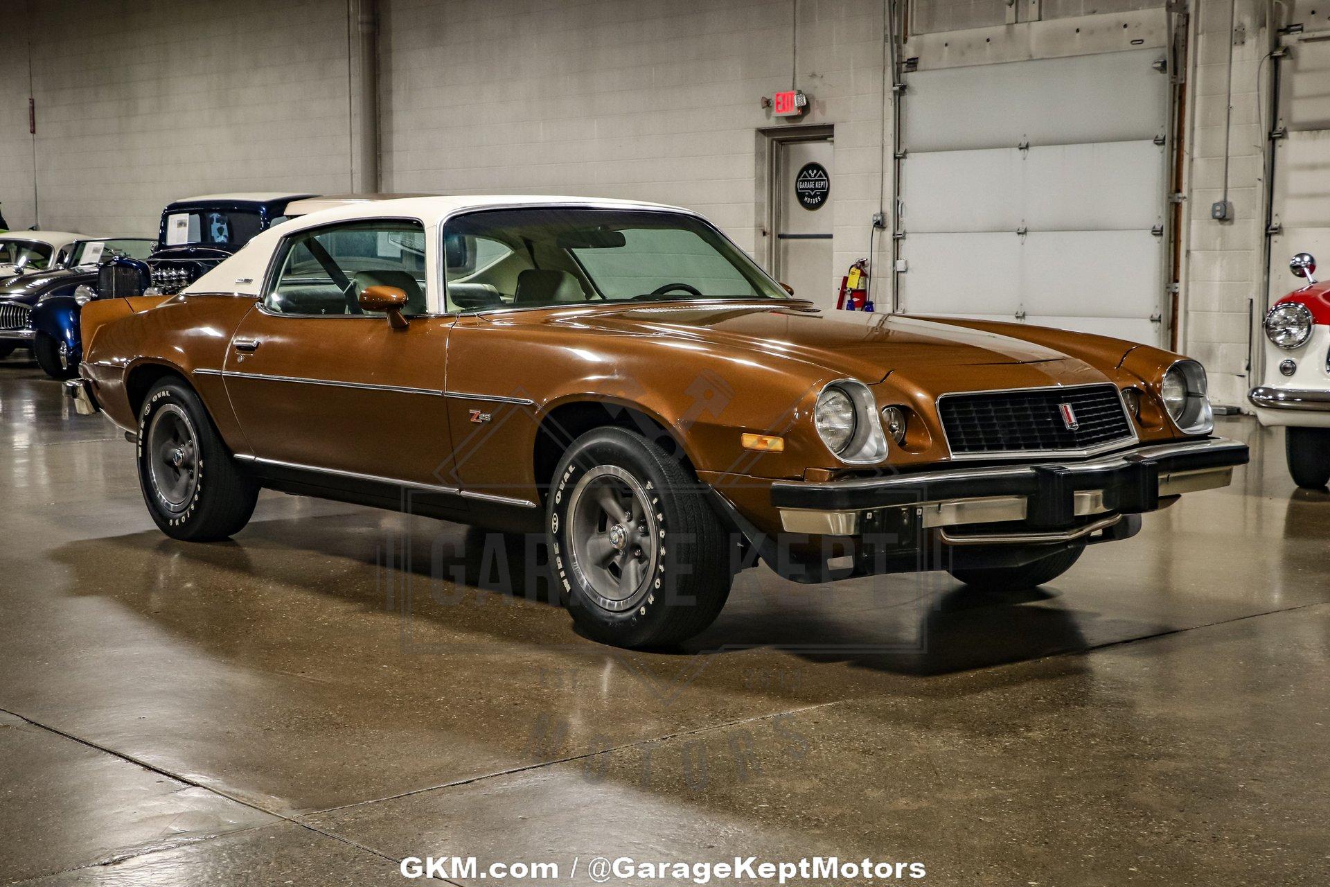 Unknown-Camaro-1974-Brown-Tan-21