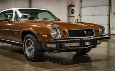 Unknown-Camaro-1974-Brown-Tan-22