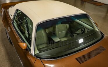 Unknown-Camaro-1974-Brown-Tan-24