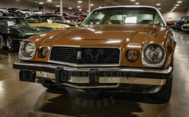 Unknown-Camaro-1974-Brown-Tan-25