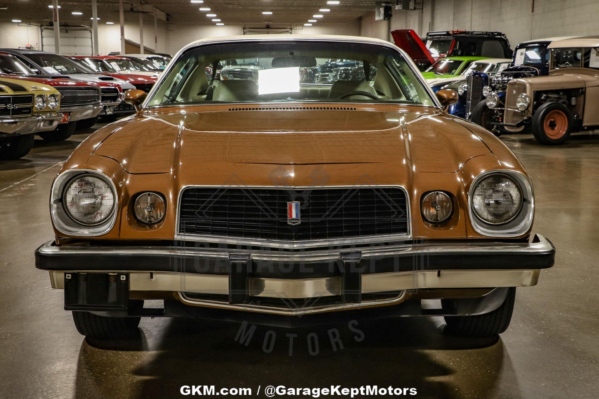 Unknown-Camaro-1974-Brown-Tan-26