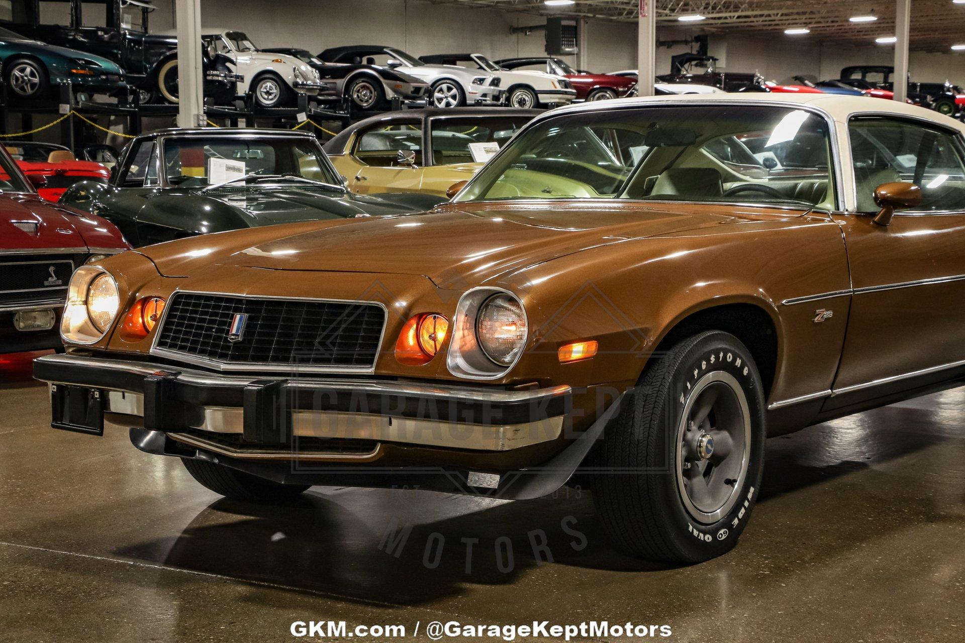 Unknown-Camaro-1974-Brown-Tan-28