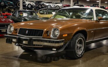 Unknown-Camaro-1974-Brown-Tan-29