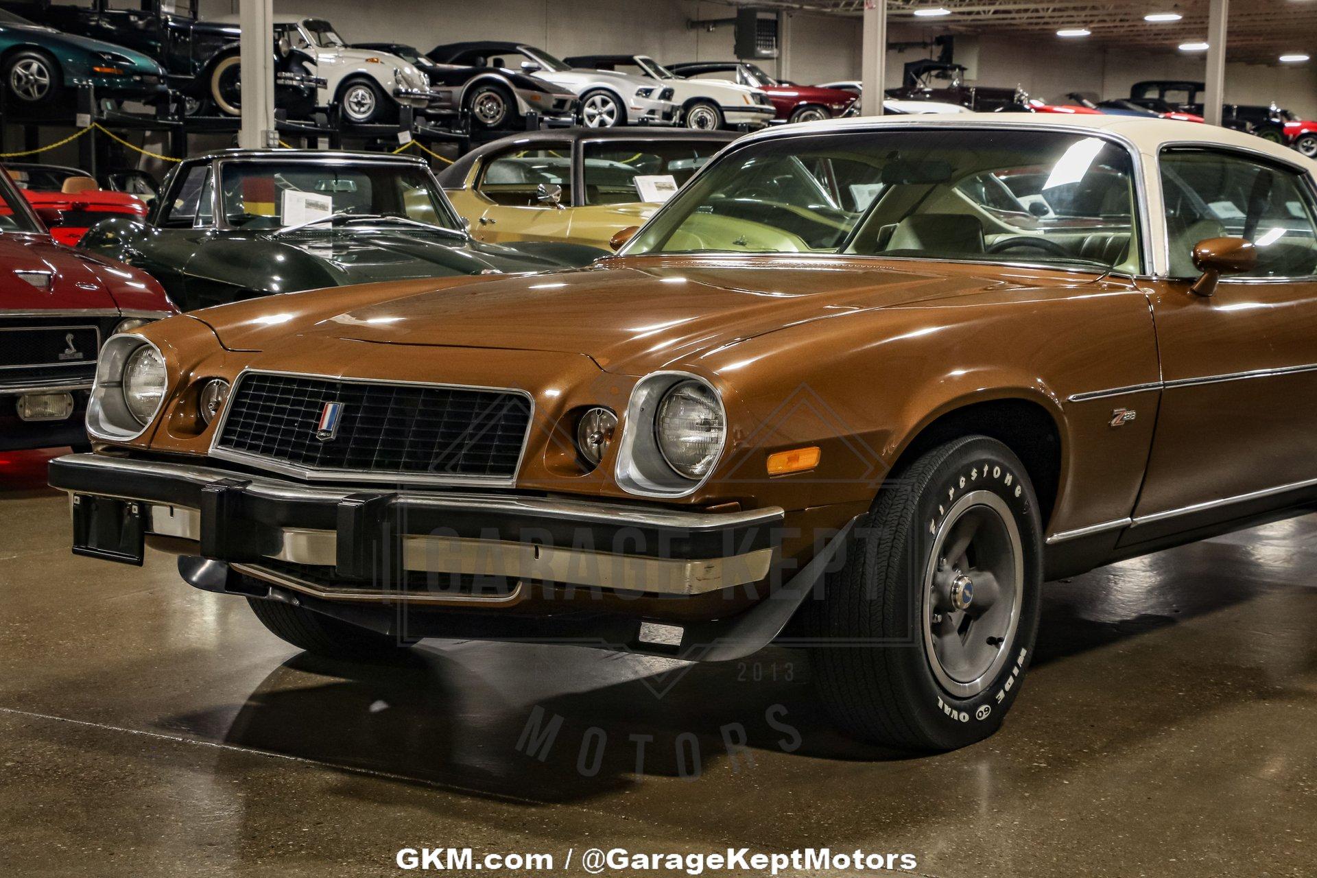 Unknown-Camaro-1974-Brown-Tan-29