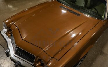 Unknown-Camaro-1974-Brown-Tan-30