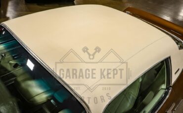 Unknown-Camaro-1974-Brown-Tan-32