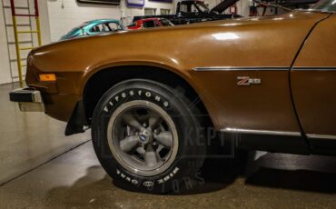Unknown-Camaro-1974-Brown-Tan-33