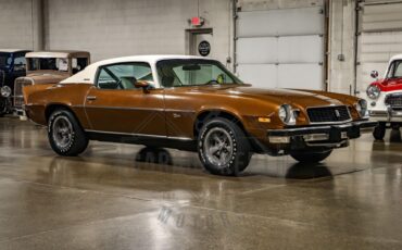 Unknown-Camaro-1974-Brown-Tan-37