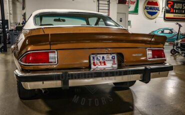 Unknown-Camaro-1974-Brown-Tan-39