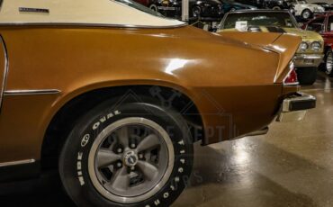 Unknown-Camaro-1974-Brown-Tan-40