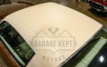 Unknown-Camaro-1974-Brown-Tan-43