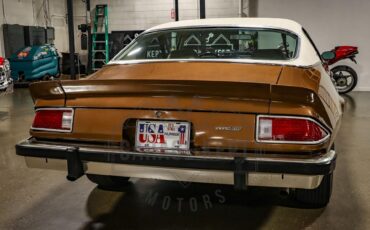 Unknown-Camaro-1974-Brown-Tan-44