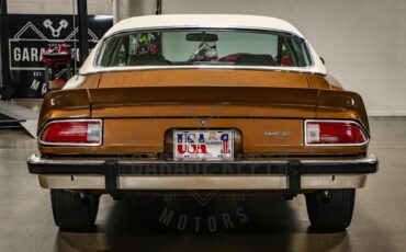 Unknown-Camaro-1974-Brown-Tan-45