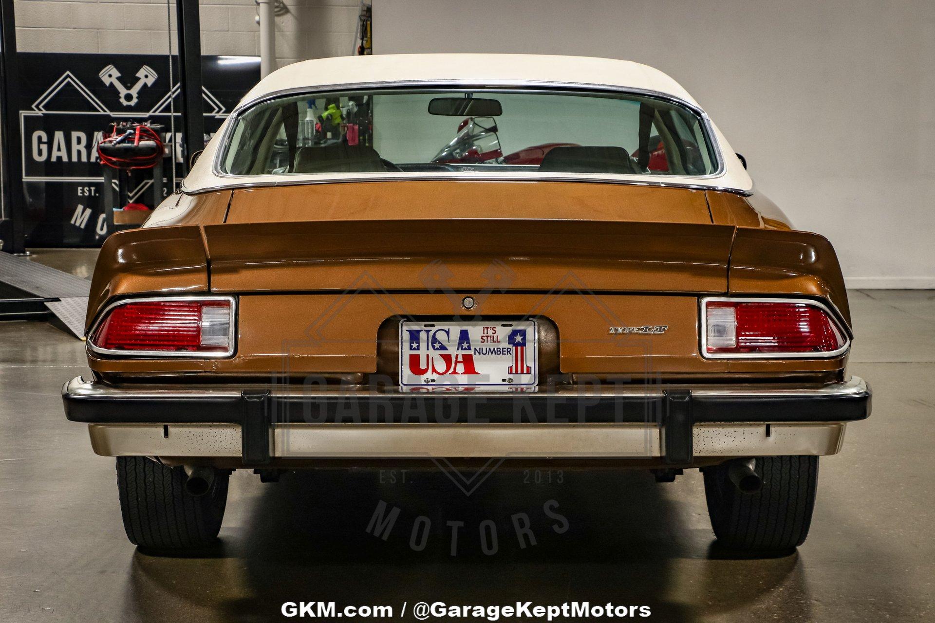 Unknown-Camaro-1974-Brown-Tan-45