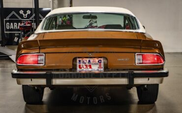 Unknown-Camaro-1974-Brown-Tan-46