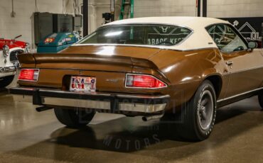 Unknown-Camaro-1974-Brown-Tan-47