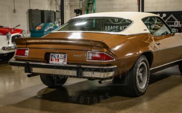 Unknown-Camaro-1974-Brown-Tan-48