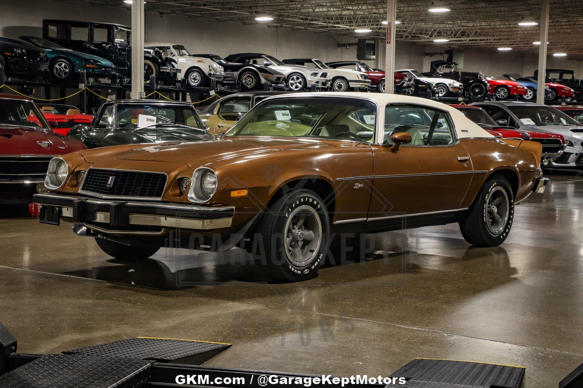 Unknown-Camaro-1974-Brown-Tan-6