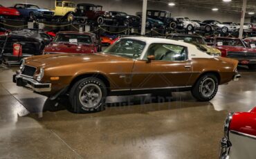 Unknown-Camaro-1974-Brown-Tan-7