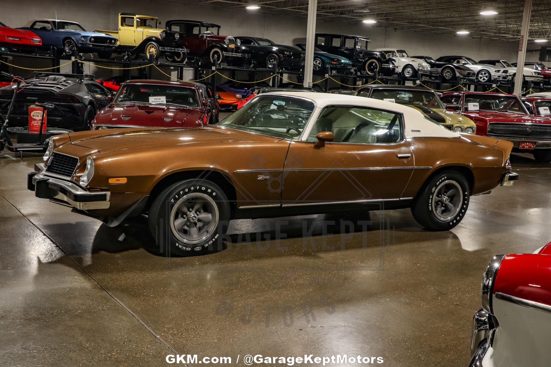 Unknown-Camaro-1974-Brown-Tan-7