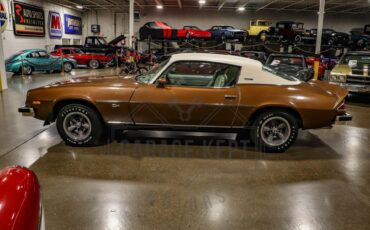 Unknown-Camaro-1974-Brown-Tan-8
