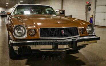 Unknown-Camaro-1974-Brown-Tan-9