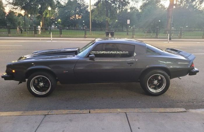 Unknown-Camaro-1975-Graphite-Metallic-Black-Vinyl-18