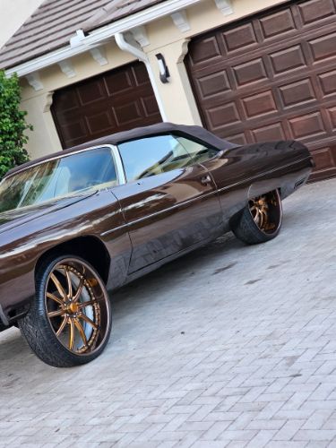 Unknown-Caprice-1973-Brown-15