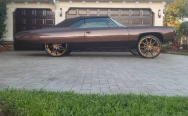 Unknown-Caprice-1973-Brown-17
