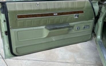 Unknown-Caprice-classic-1974-Green-1