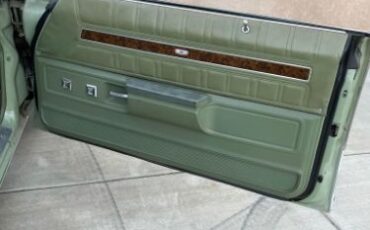 Unknown-Caprice-classic-1974-Green-10