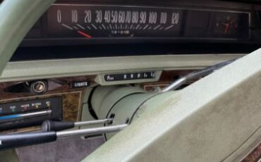 Unknown-Caprice-classic-1974-Green-11