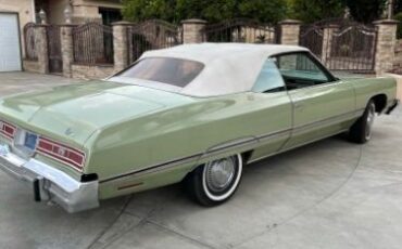 Unknown-Caprice-classic-1974-Green-16
