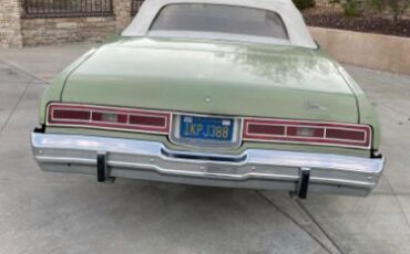 Unknown-Caprice-classic-1974-Green-17