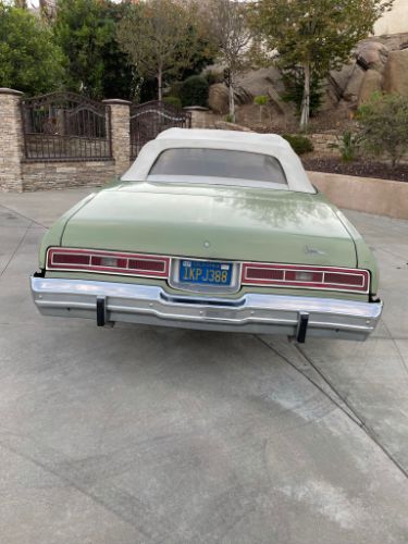Unknown-Caprice-classic-1974-Green-17