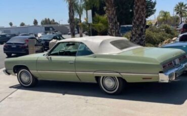 Unknown-Caprice-classic-1974-Green-19