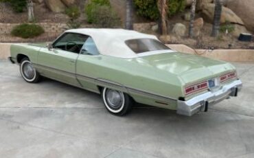 Unknown-Caprice-classic-1974-Green-22