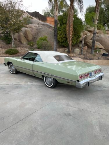 Unknown-Caprice-classic-1974-Green-22