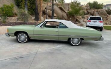 Unknown-Caprice-classic-1974-Green-23