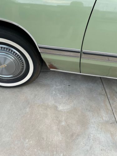 Unknown-Caprice-classic-1974-Green-24