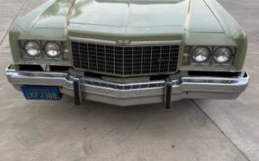 Unknown-Caprice-classic-1974-Green-26