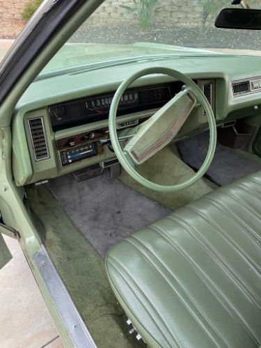 Unknown-Caprice-classic-1974-Green-3