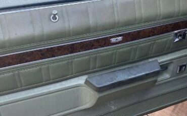 Unknown-Caprice-classic-1974-Green-5