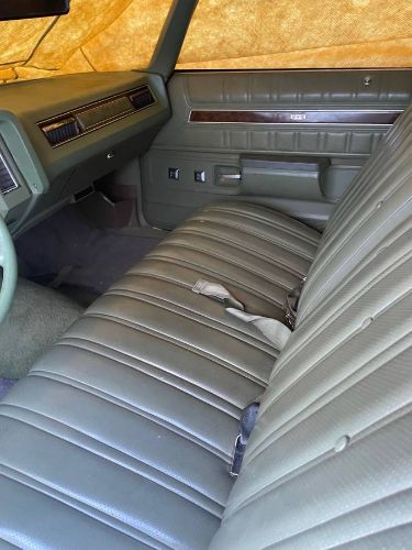 Unknown-Caprice-classic-1974-Green-8