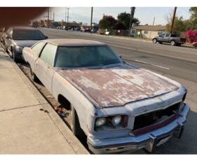 Unknown-Caprice-classic-1975-Two-Tone
