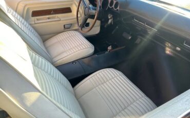 Unknown-Challenger-1970-Bright-blue-metallic-White-15