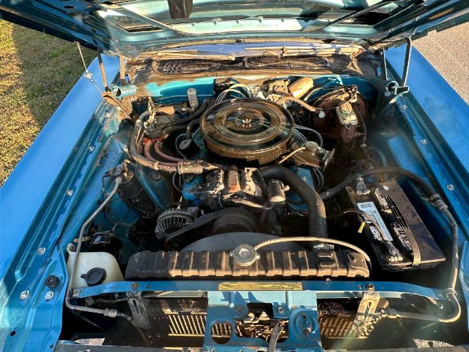 Unknown-Challenger-1970-Bright-blue-metallic-White-2