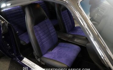 Unknown-Challenger-1970-Plum-Crazy-Black-27